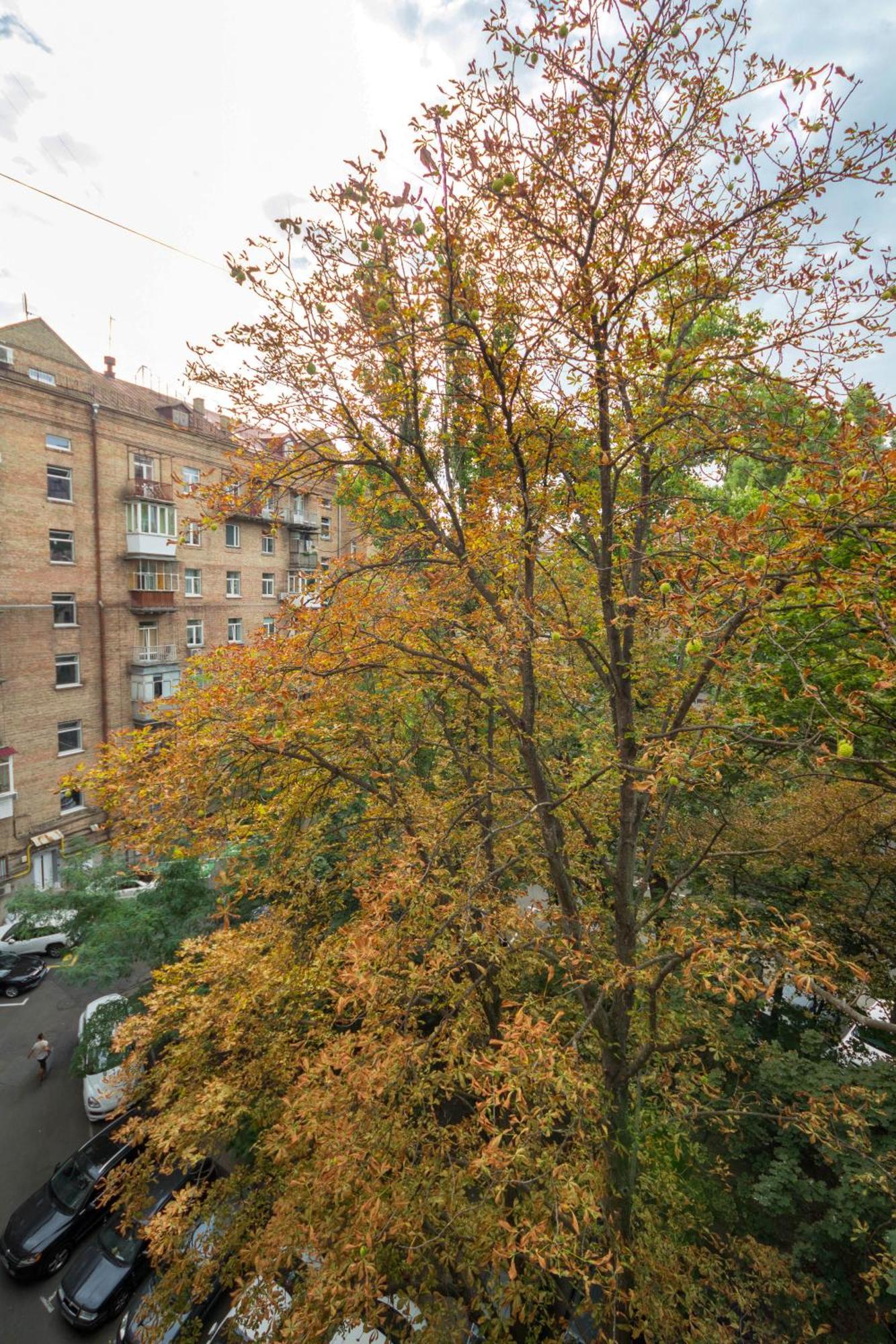Central Apartments Kiev Dış mekan fotoğraf
